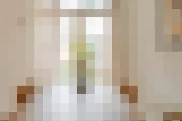 Spinozaweg 71 Utrecht thumbnail 14