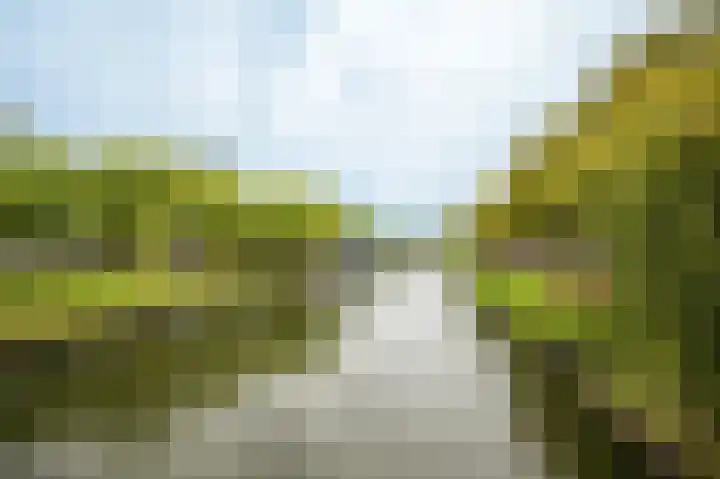Spinozaweg 71 Utrecht thumbnail 30