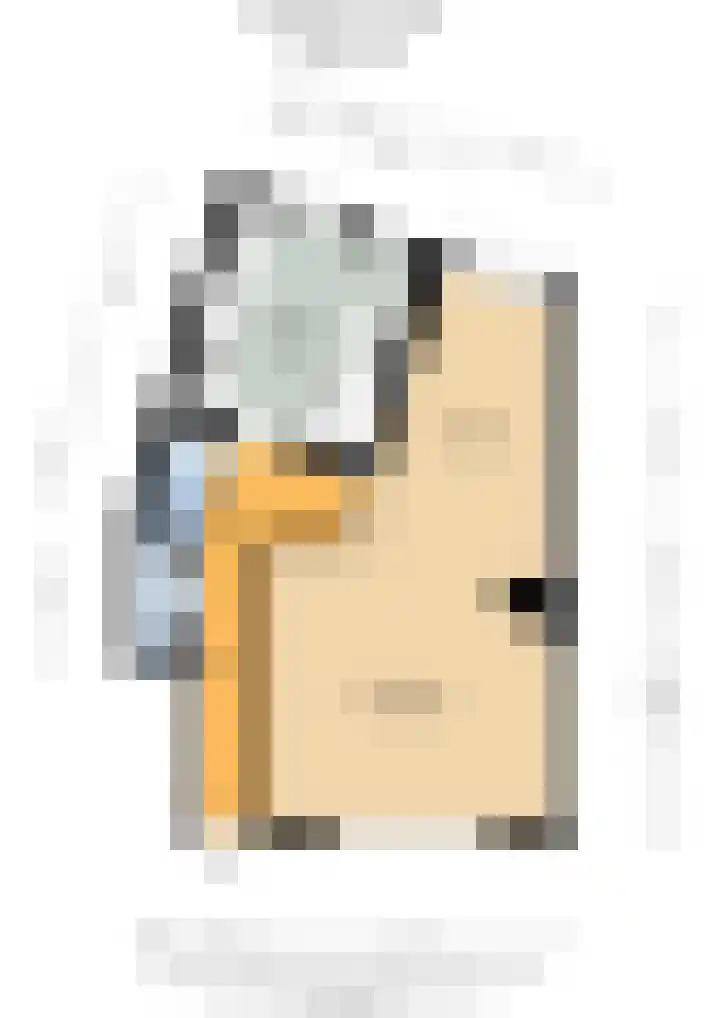 Spinozaweg 71 Utrecht thumbnail 32