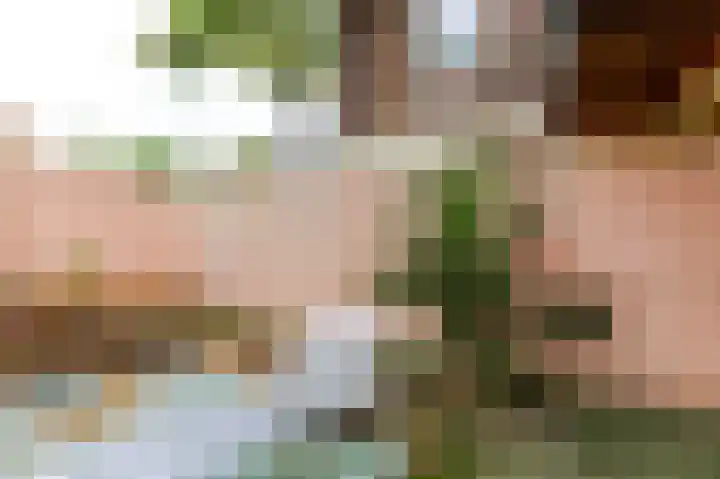 Spinozaweg 71 Utrecht thumbnail 5
