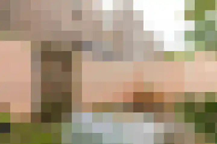 Spinozaweg 71 Utrecht thumbnail 6