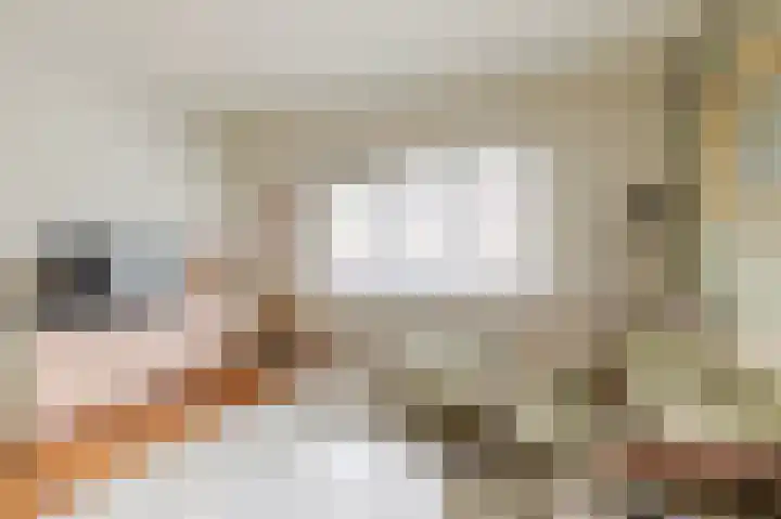 Spinozaweg 71 Utrecht thumbnail 8