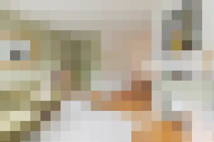 Spinozaweg 71 Utrecht thumbnail 9