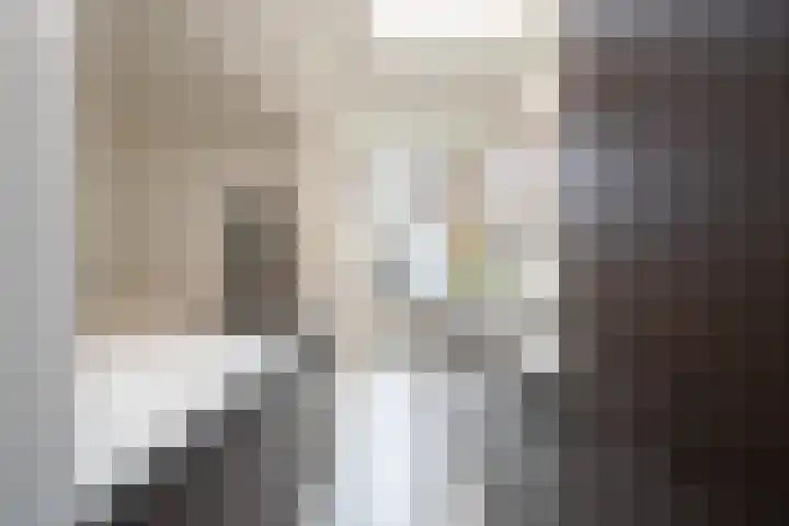 Spinozaweg 74 Utrecht thumbnail 8