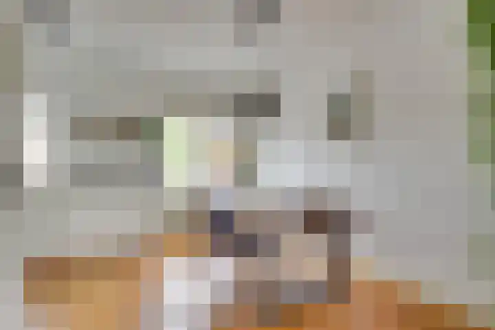 Spinozaweg 76 BS Utrecht thumbnail 12