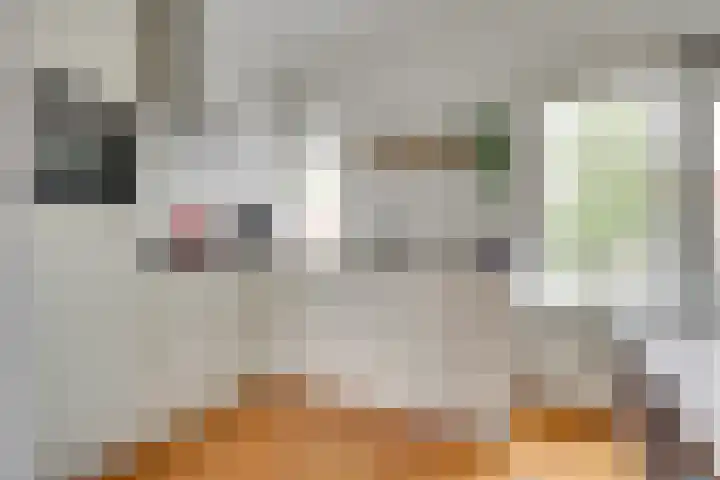 Spinozaweg 76 BS Utrecht thumbnail 13