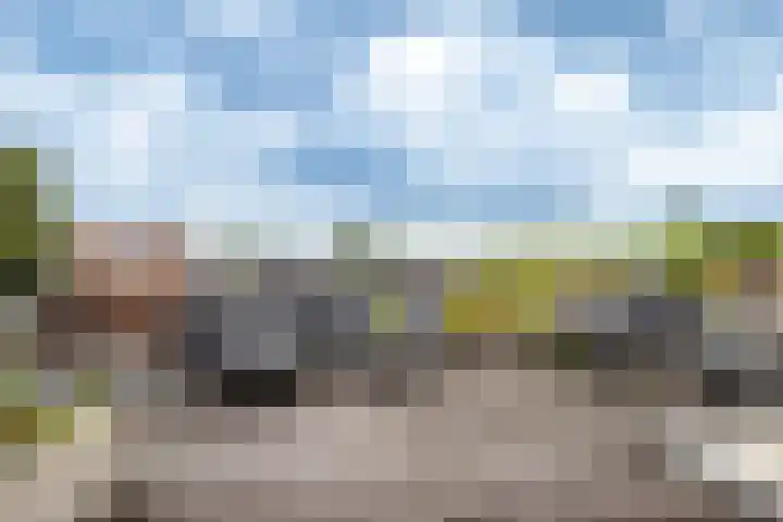 Spinozaweg 76 BS Utrecht thumbnail 24