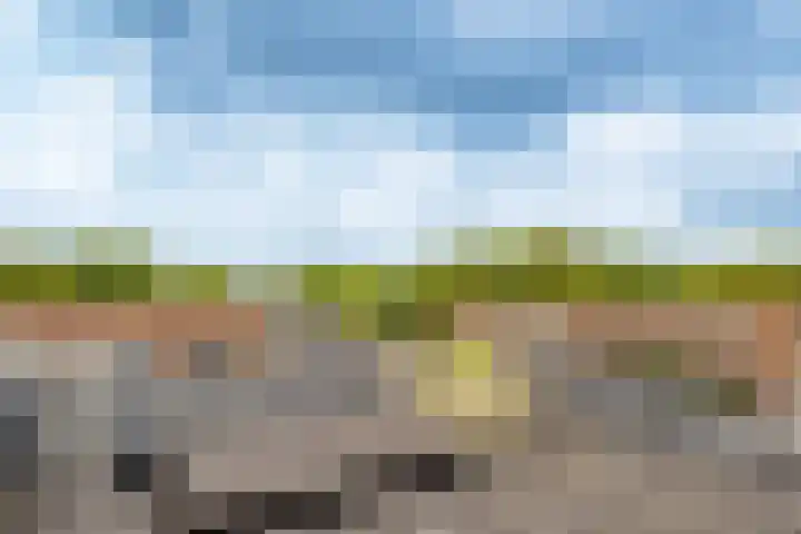 Spinozaweg 76 BS Utrecht thumbnail 27