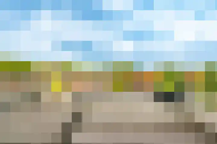 Spinozaweg 76 BS Utrecht thumbnail 28