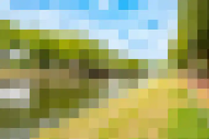 Spinozaweg 76 BS Utrecht thumbnail 30