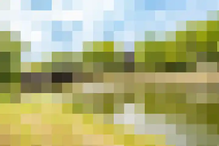Spinozaweg 76 BS Utrecht thumbnail 31