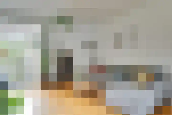Spinozaweg 76 BS Utrecht thumbnail 7