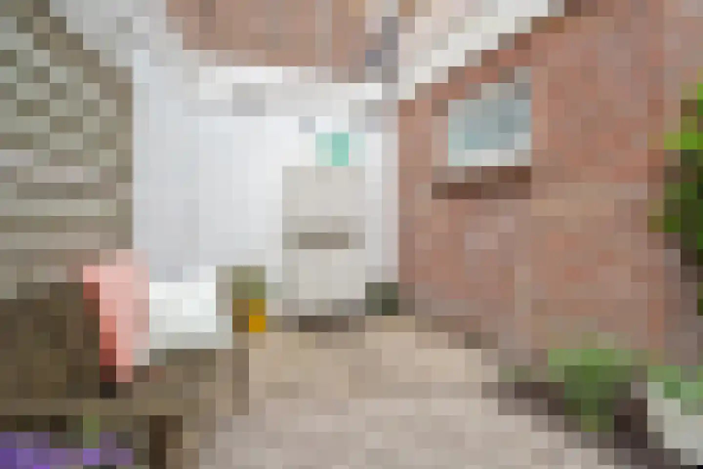 Spinozaweg 76 Utrecht thumbnail 30