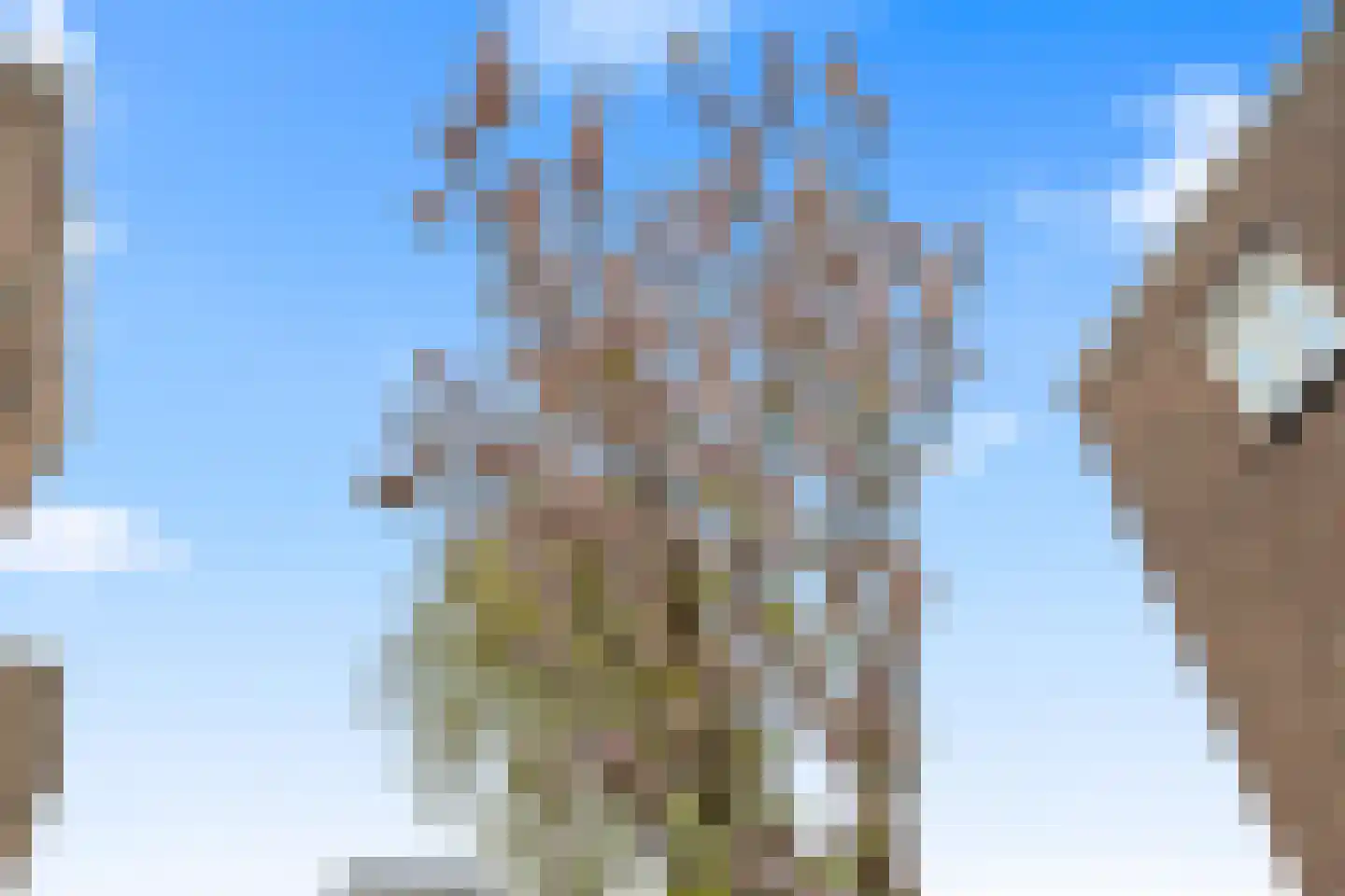 Spinozaweg 76 Utrecht thumbnail 33