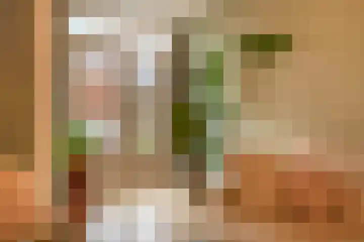Spinozaweg 78 BS Utrecht thumbnail 16