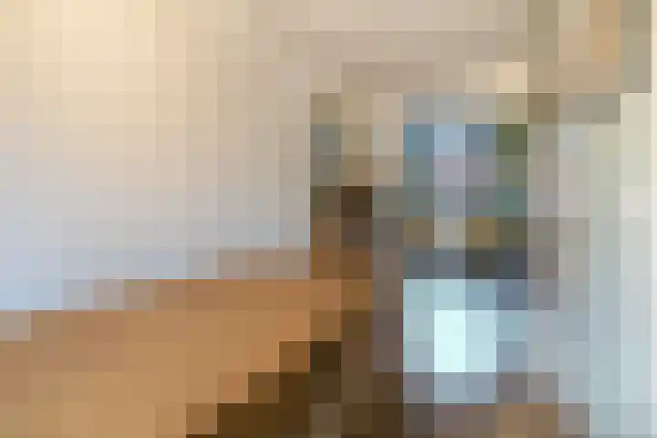 Spinozaweg 78 BS Utrecht thumbnail 20