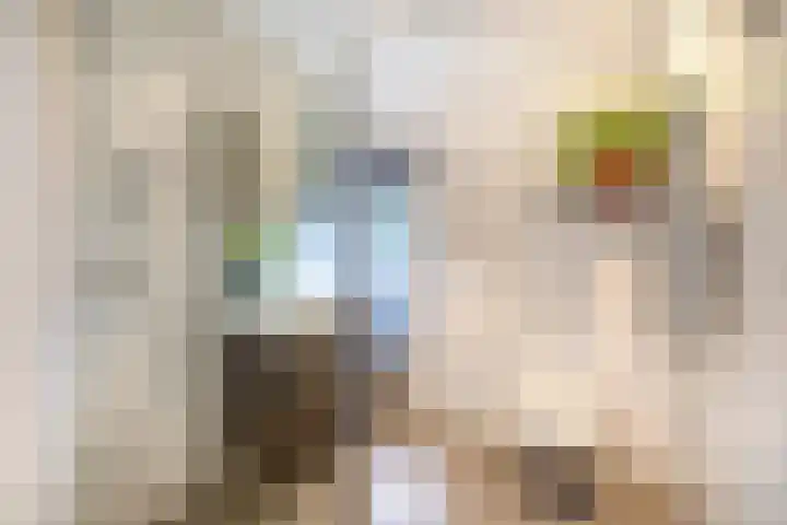 Spinozaweg 78 BS Utrecht thumbnail 27