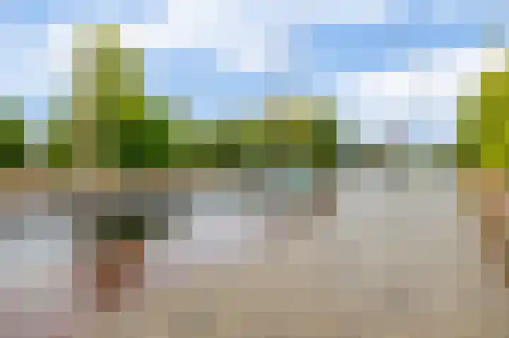 Spinozaweg 78 BS Utrecht thumbnail 30
