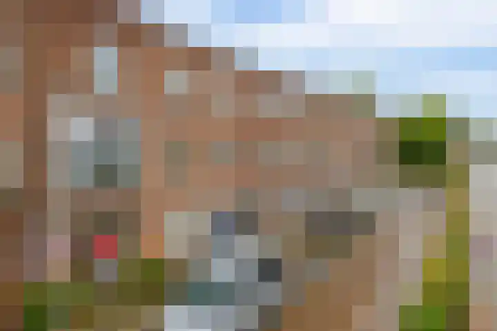 Spinozaweg 78 BS Utrecht thumbnail 5