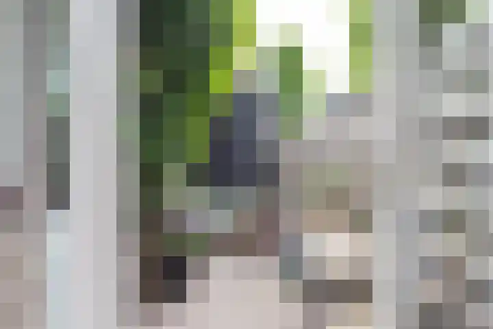 Spinozaweg 80 Utrecht thumbnail 20