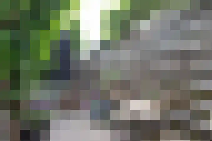 Spinozaweg 80 Utrecht thumbnail 21