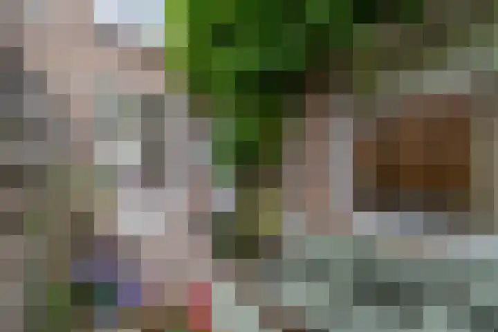 Spinozaweg 80 Utrecht thumbnail 22