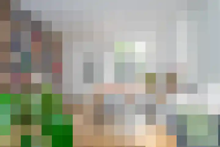 Spinozaweg 80 Utrecht thumbnail 7