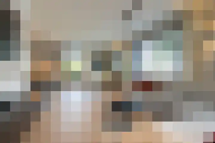 Spinrok 2 Zoelen thumbnail 22