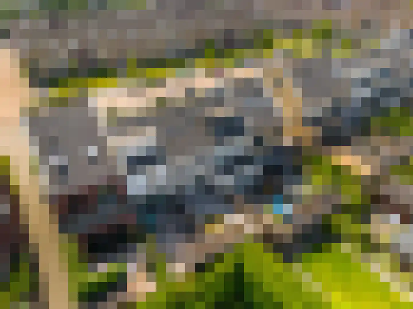 Spinsteen 19 Beverwijk thumbnail 42