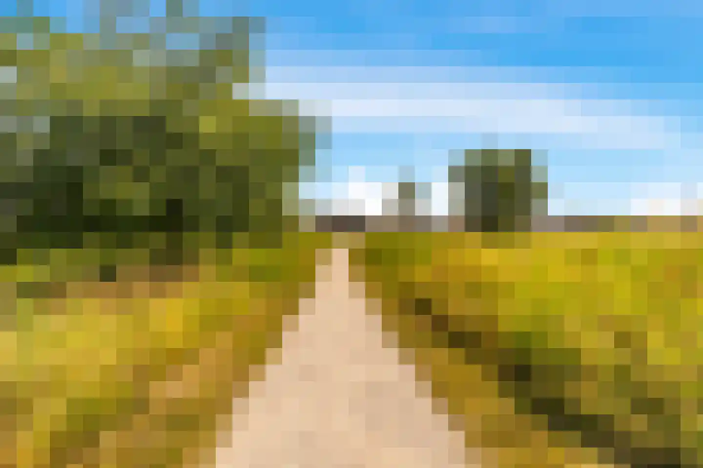 Spinsteen 19 Beverwijk thumbnail 43