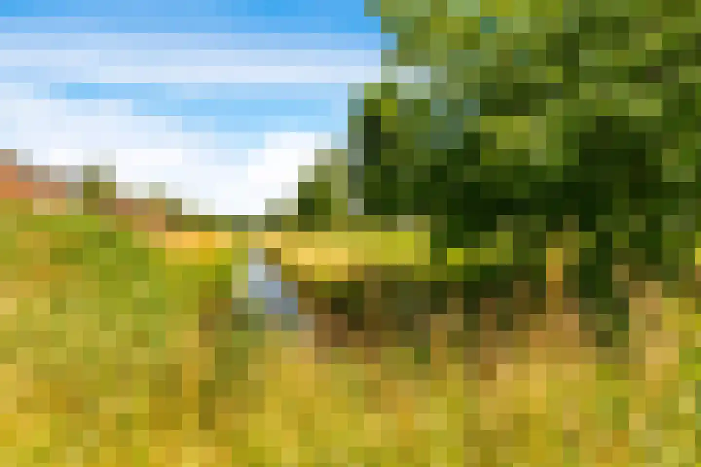 Spinsteen 19 Beverwijk thumbnail 44
