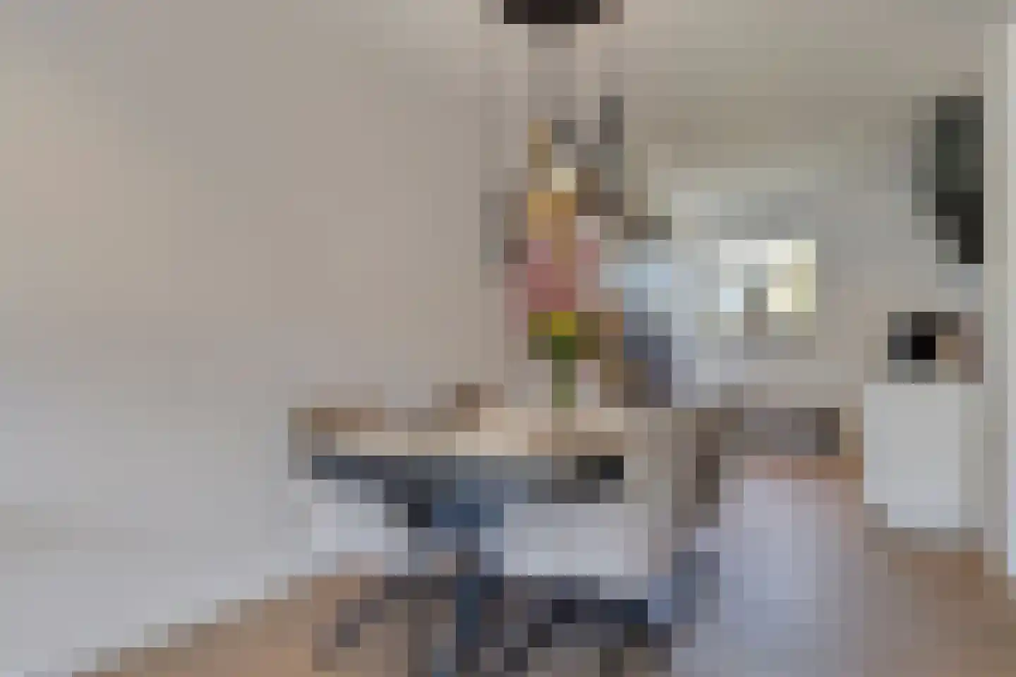 Spinsteen 63 Heemskerk thumbnail 11