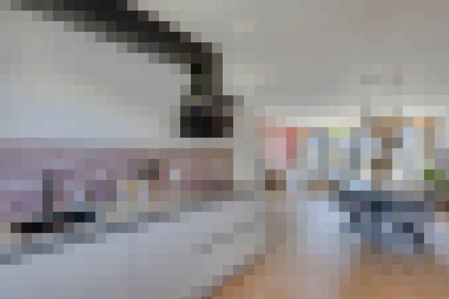 Spinsteen 63 Heemskerk thumbnail 12