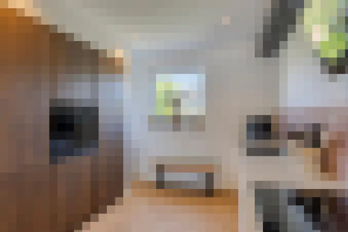 Spinsteen 63 Heemskerk thumbnail 13