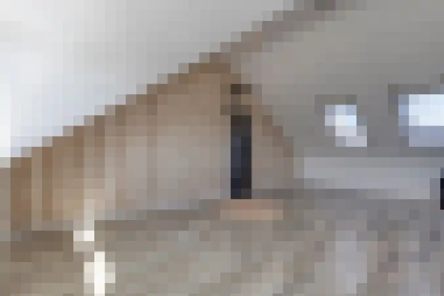 Spinsteen 63 Heemskerk thumbnail 19