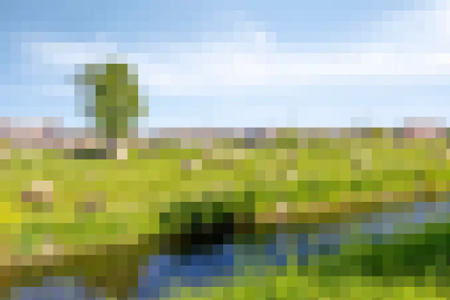 Spinsteen 63 Heemskerk thumbnail 26