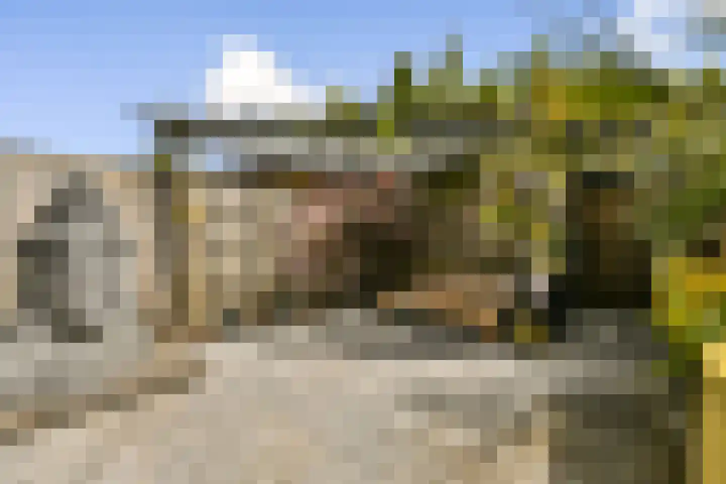 Spinsteen 98 Heemskerk thumbnail 18