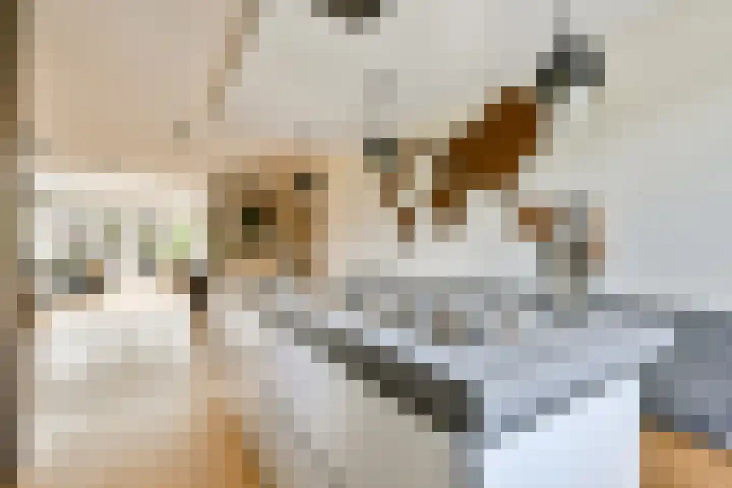 Spinsteen 98 Heemskerk thumbnail 4