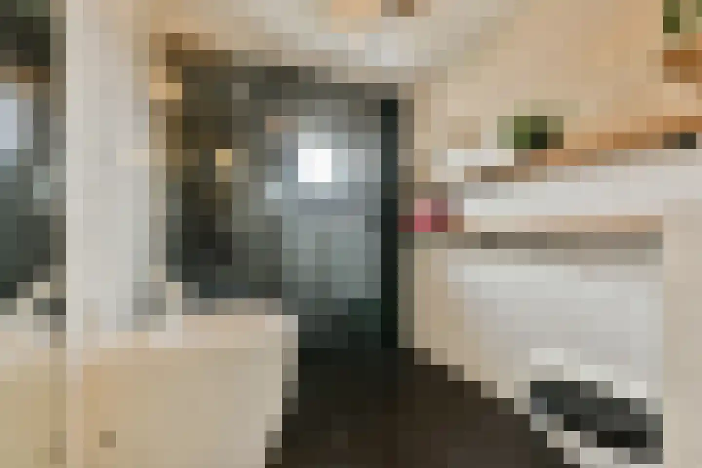 Spinsteen 98 Heemskerk thumbnail 6