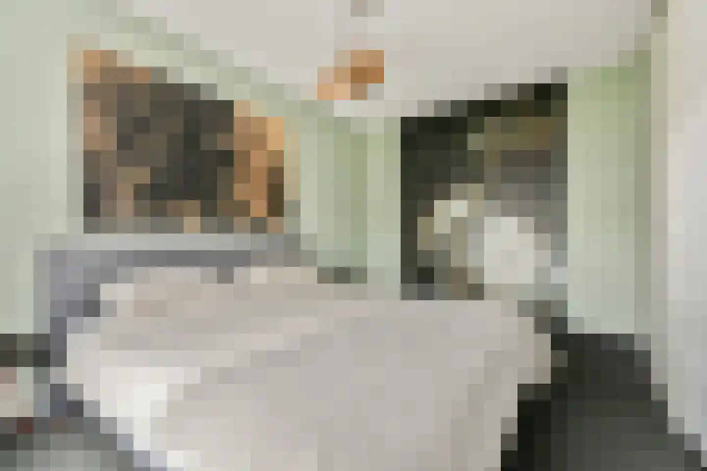 Spinsteen 98 Heemskerk thumbnail 7