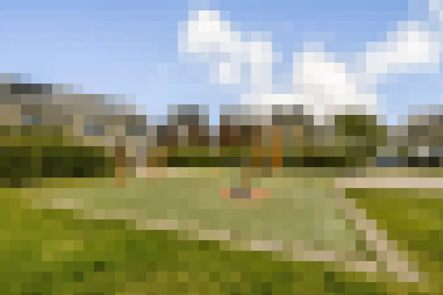 Spinsteen 98 Heemskerk thumbnail 9