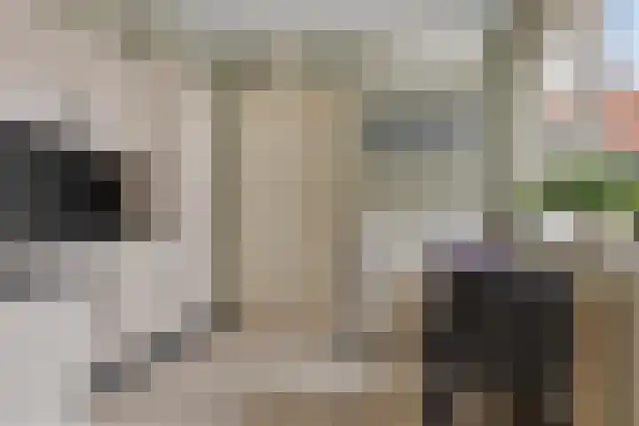 Spinstraat 1 Stramproy thumbnail 15