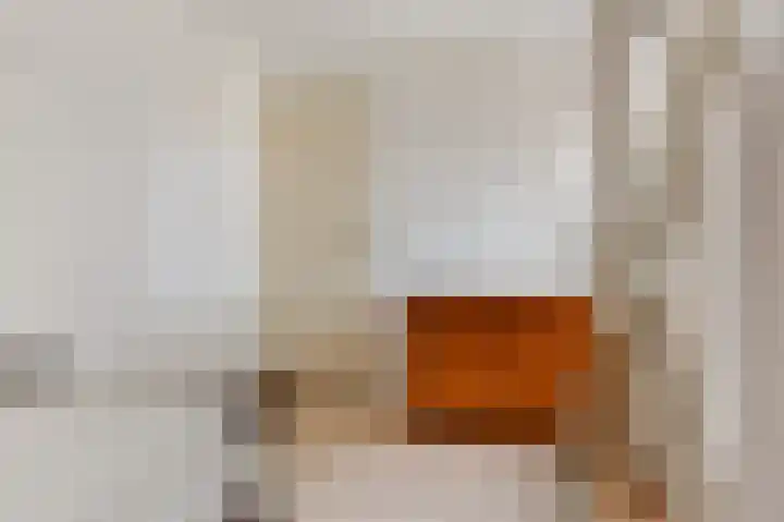 Spinstraat 1 Stramproy thumbnail 21