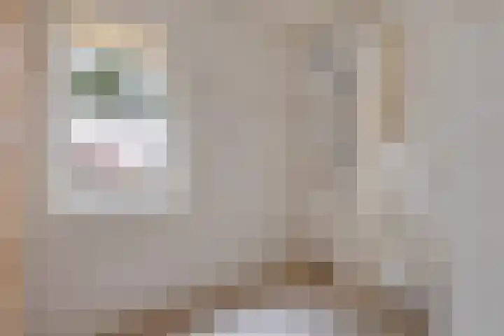 Spinstraat 1 Stramproy thumbnail 30