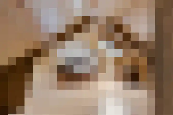 Spinstraat 1 Stramproy thumbnail 33