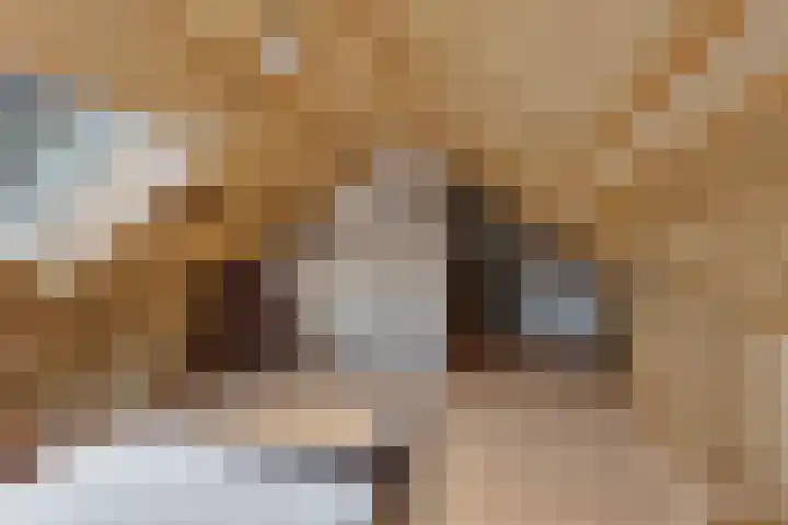 Spinstraat 1 Stramproy thumbnail 34