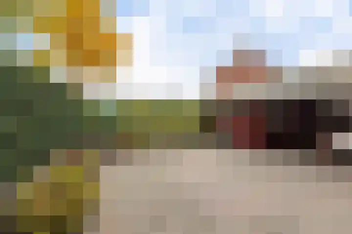 Spinstraat 1 Stramproy thumbnail 38