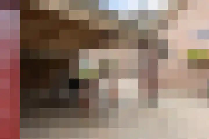 Spinstraat 1 Stramproy thumbnail 41