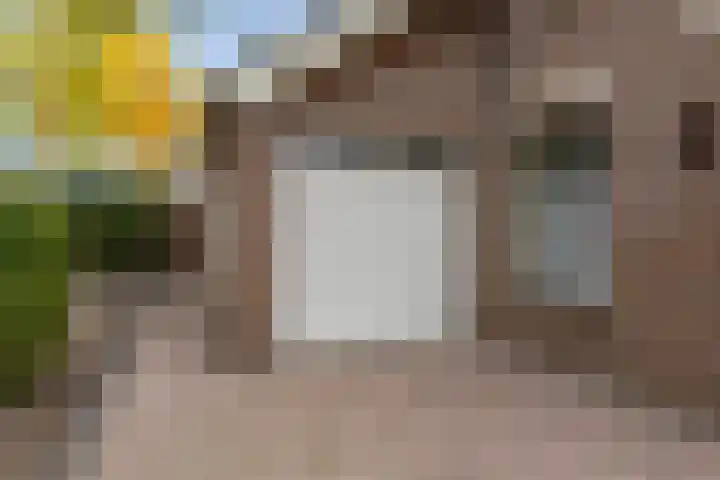 Spinstraat 1 Stramproy thumbnail 43