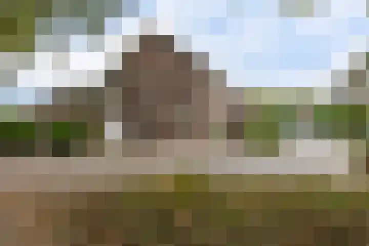 Spinstraat 1 Stramproy thumbnail 48